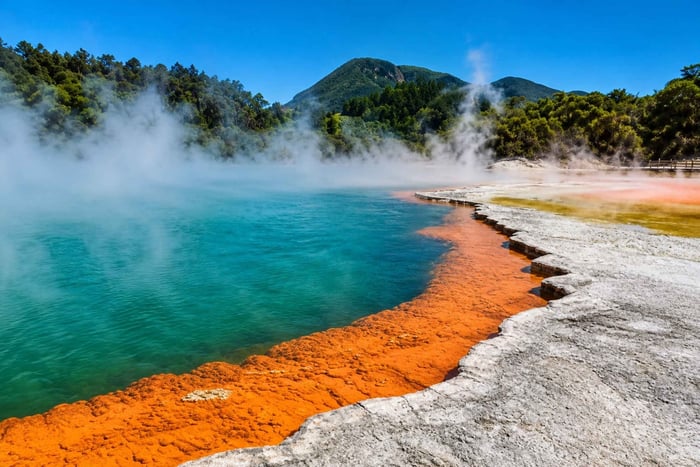 Desde Tauranga: excursión al parque geotérmico de Wai-O-Tapu