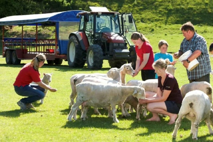 Rotorua Adventures Private Tour