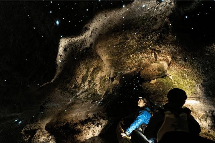Rotorua: Glow Worm Kayak Tour