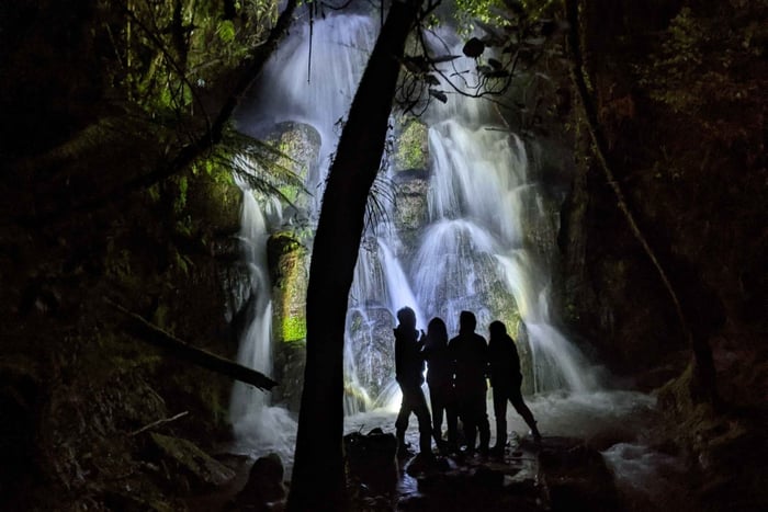 Rotorua: Nattlig Glow-Worm Adventure Tour med guide