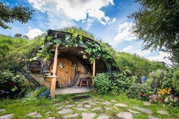 Auckland to  Waitomo Caves & Hobbiton Day Tour