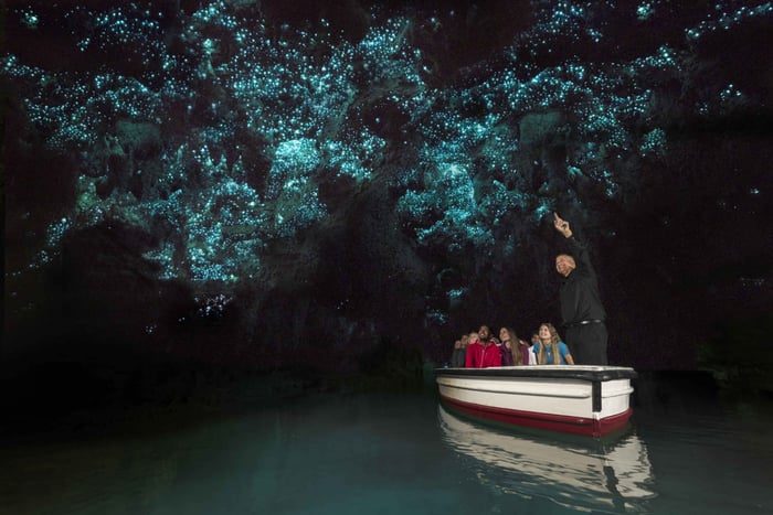 Auckland to Waitomo Caves, Hobbiton & Rotorua 2-Day Private