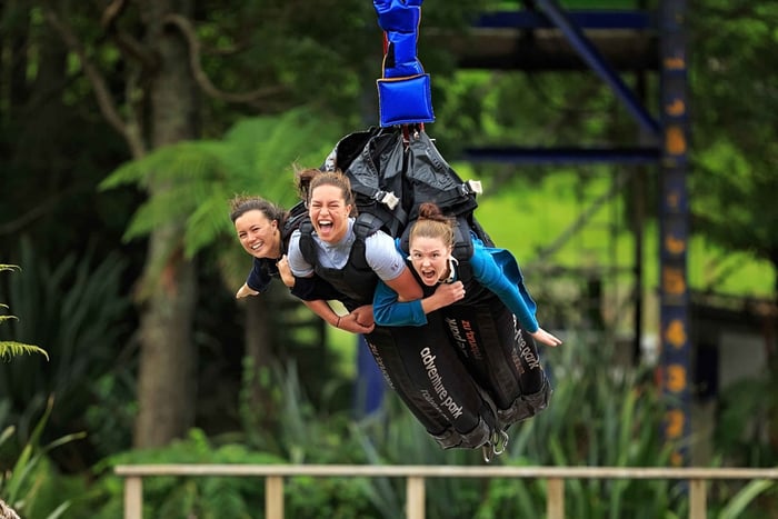 Swoop Sky Swing Experience at Velocity Valley