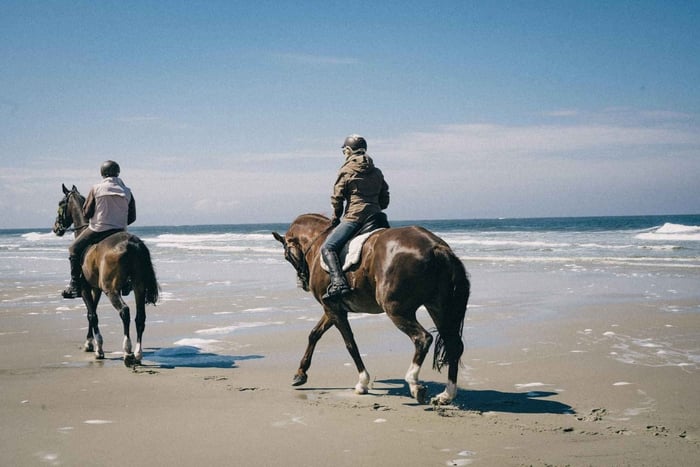3-Hour Guided Beach Horseback Ride