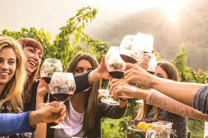 Chauffeured Winery Tour with Full Meal