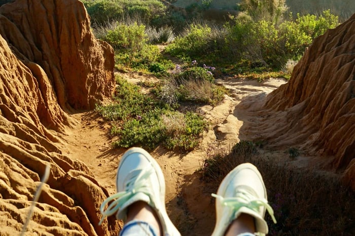 San Diego Torrey Pines Guided Hike and Picnic Private Tour