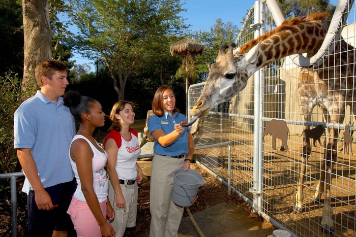 Bilet wstępu do zoo w San Diego