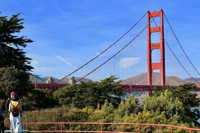 From San Francisco - Muir Woods Tour and Hop-on Hop-off City Tour