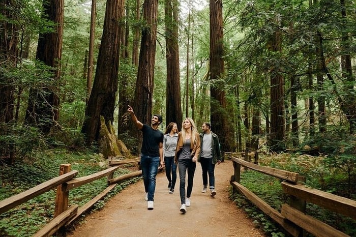 San Francisco City Tour, Muir Woods & Sausalito: Half or Full Day