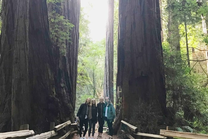 San Francisco Tour naar Muir Woods Giant Redwoods & Sausalito