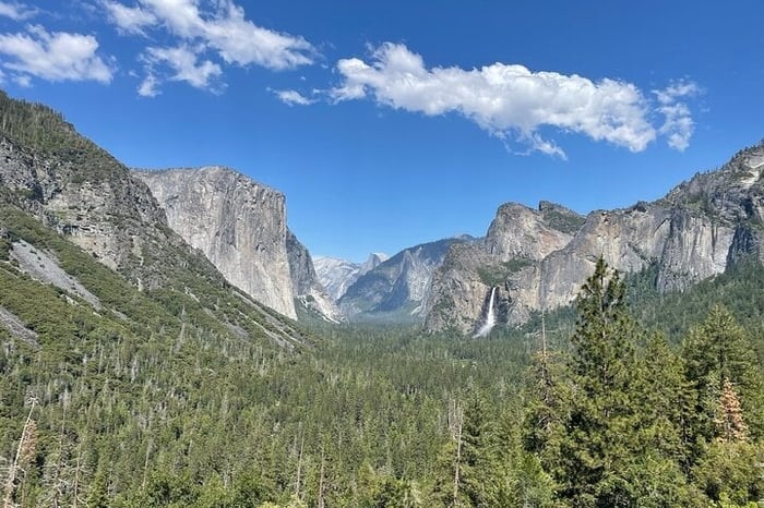 Yosemite National Park & Sequoias Private Tour from San Francisco