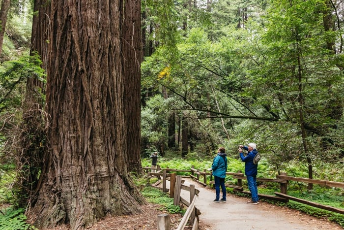 San Francisco, Muir Woods Muir Woods, Napa & Sonoma Valley Wine Tour