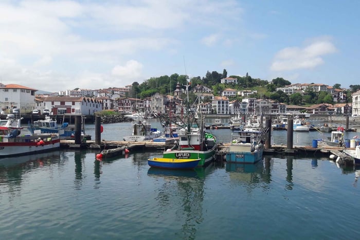 Desde San Sebastián: Tour Privado Costa Vasco-Francesa
