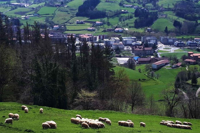 Idiazabal Cheese Tour from San Sebastian