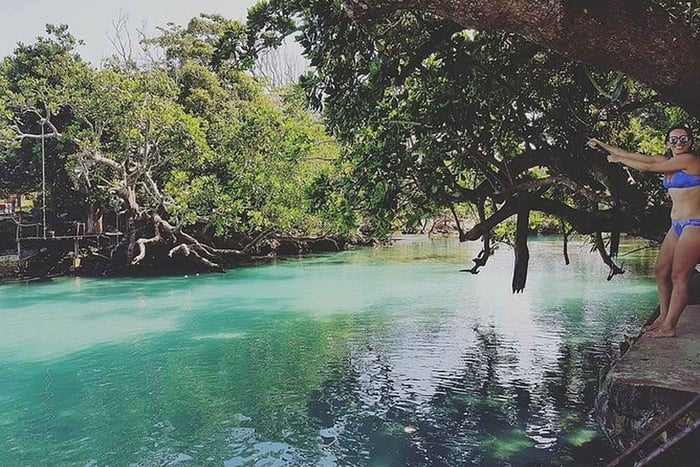 Port Vila: Pepeyo, Blaue Lagune & Eden Tour
