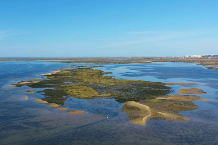 Ria Formosa: Armona en Culatra-eilanden 3-uur rondvaart