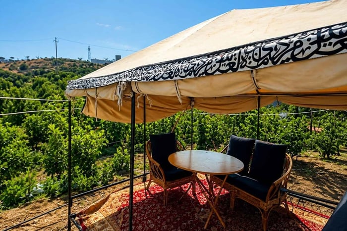 Al Baha: Blackberry Picking and Ice Cream Making Tour