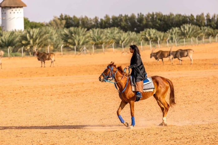 Al-Bayda Wild Park Camping Experience