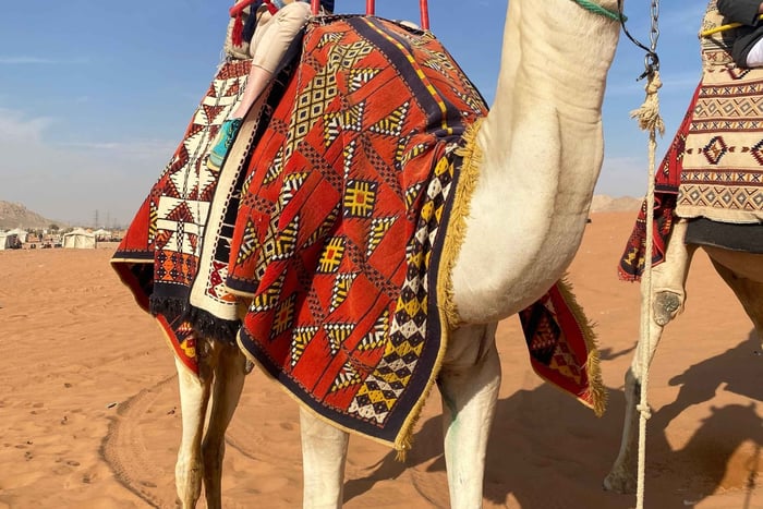 Al-Qasim: Desert Safari, Heritage, and Arabian Hospitality