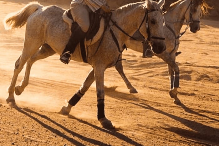 Al-Ula: Guidet ridning