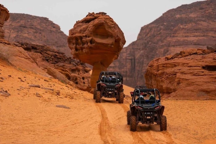 Al-Ula: avventura guidata in dune buggy con autista