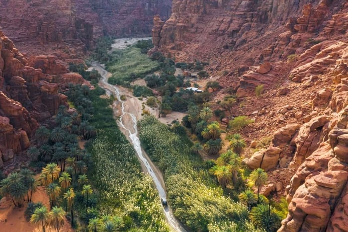 AlUla: Wadi AlDissah Hike and Safari with Lunch