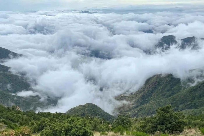 Asir: tour guidato di Rijal Almaa e As-Soudah con colazione
