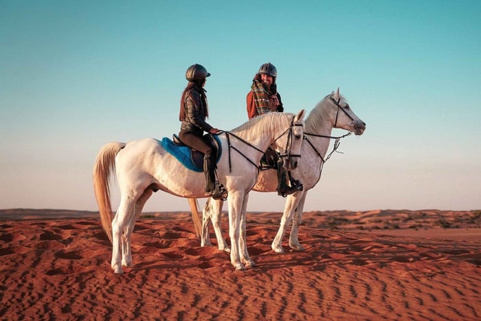 Desert Horse Ride Tour Riyadh