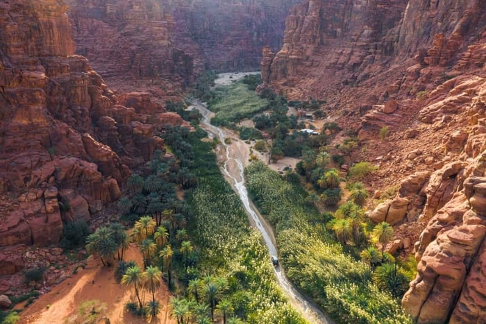 Fra Al-Ula: Juvetureventyr i Wadi Al Disah med firehjulstrekk