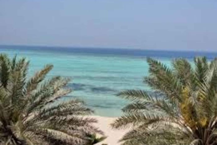 From Jeddah: King Abdullah Economic City Day Trip