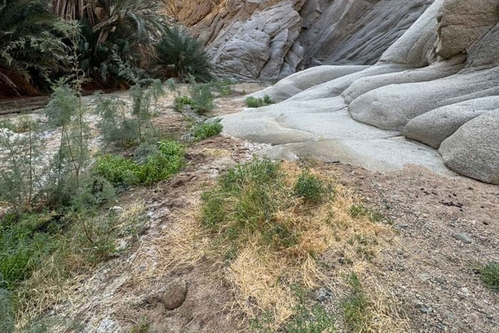 From Tabuk: Jabal Maqla & Biblical Sites Tour to the Red Sea