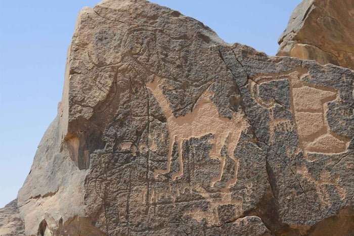 Hail: tour archeologico di 2 giorni con guida turistica