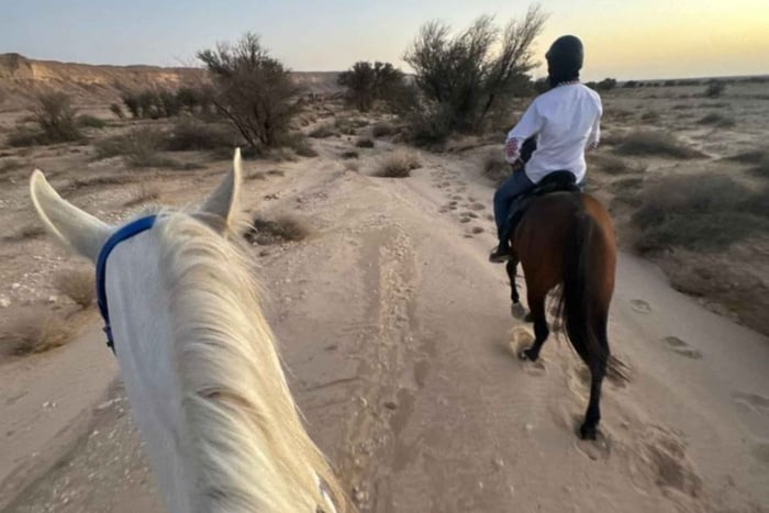 Horse Riding Experience at King Khalid Royal Reserve