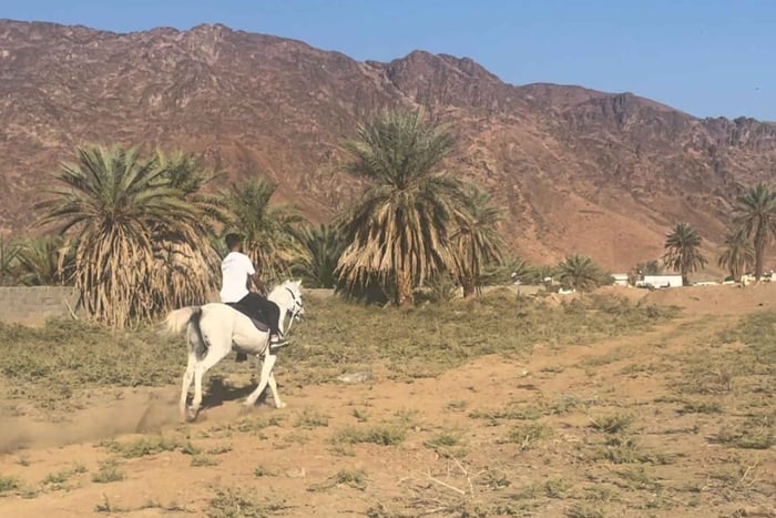 Horseback Riding Experience in Madinah the Prophets City