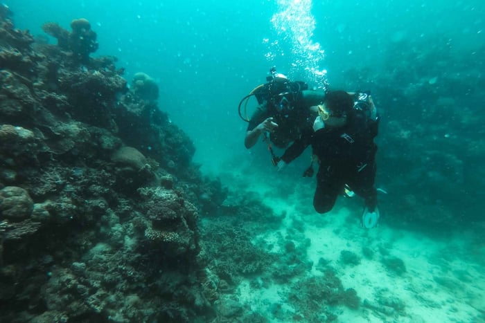 Jeddah: Red sea shore diving (Discovery)