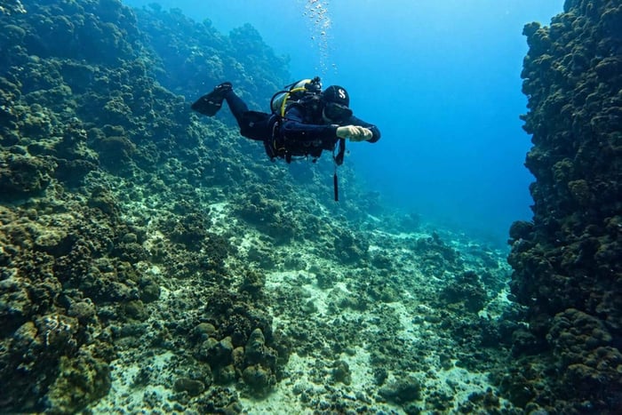 Gedda: giro in barca con immersioni subacquee, snorkeling, tempo libero e pesca