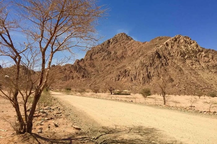 Madinah: A Walking Tour in the Desert Park
