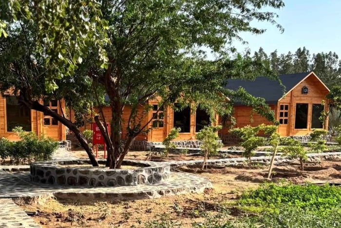 Mecca: Usfan Farm Nature Tour with Transfer