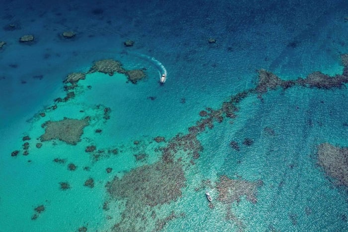 Mar Rosso: battuta di pesca con istruttore e bevande
