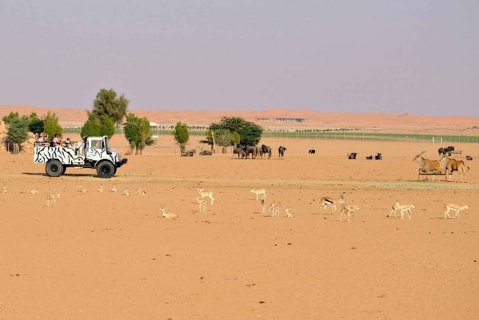 Riyadh: Open-Topped Vehicle Safari at Nofa Wildlife Park