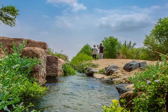 Yanbu: Guided Tour in The City of Springs