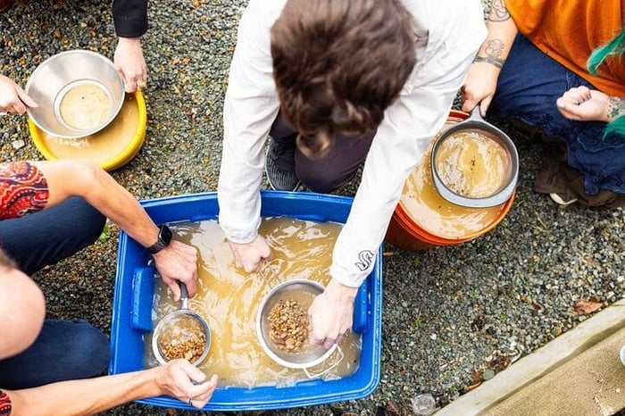 Experience Mining For Genuine Montana Sapphires in Seattle