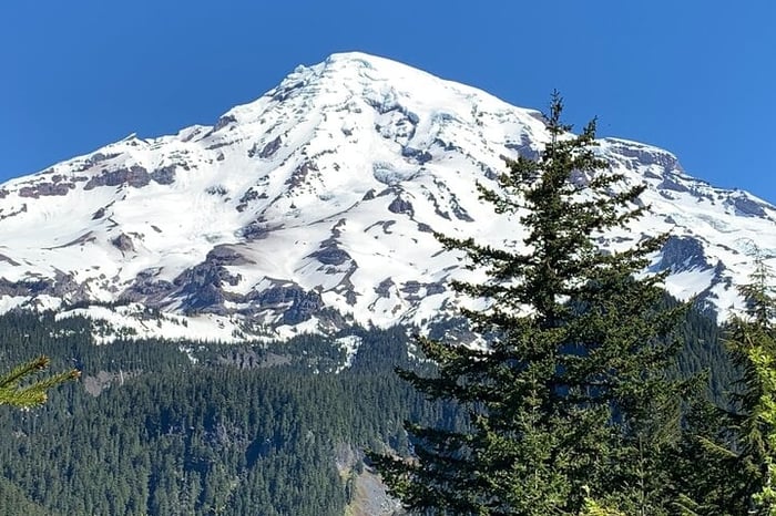 Guided hike on Mt. Rainier - old forest, falls and glacier views