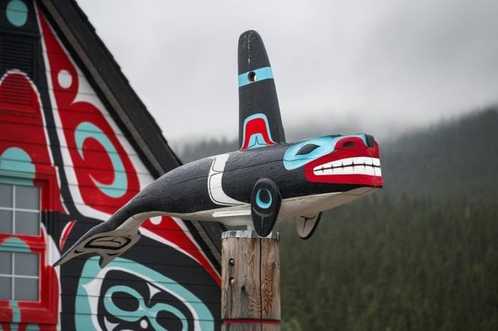 Indigenous Led Whale Watching with Tea tasting