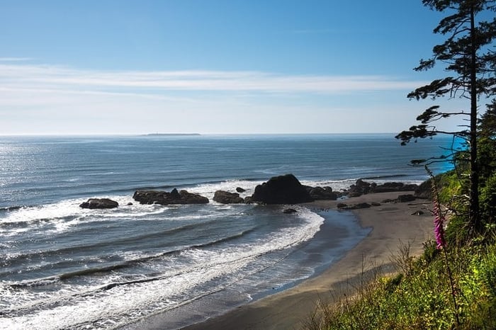 Olympic National Park Day Tour from Seattle