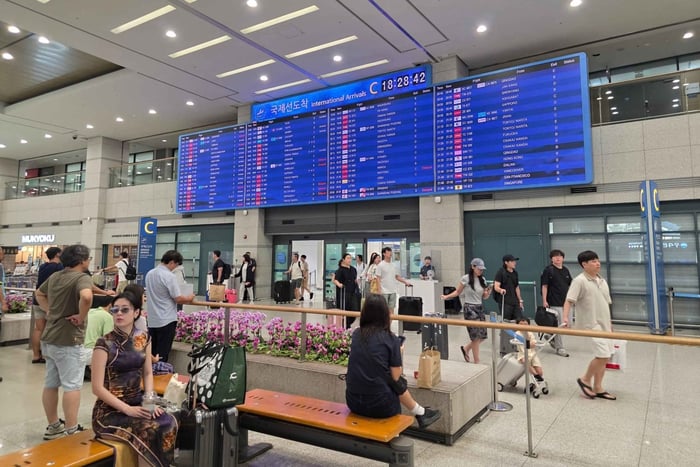 10-Hour Layover Tour with Train Transfer & Lunch