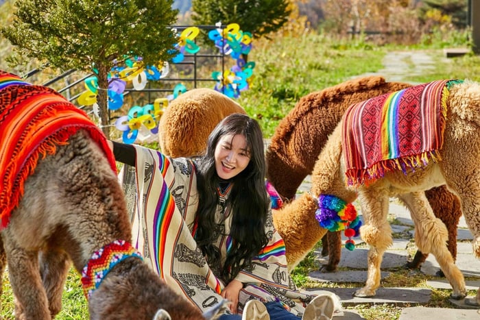 Soul: Alpaca World ja Namin saari, valinnaisena Gangchonin rautatiepyöräily