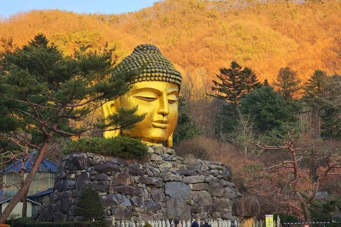 Das faszinierende Gyeonggi: Tour mit Fahrer und Premium-Van
