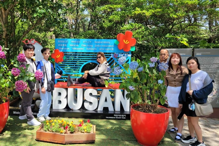 Ab Tagestour mit dem KTX zu den Highlights von Busan – Kapselfahrt