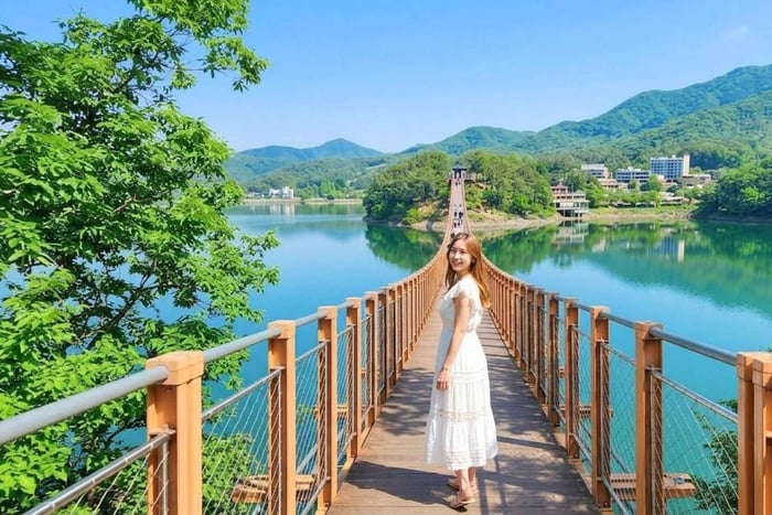 DMZ Small Group (Max 13) NK Defector, Temple & Majang Lake